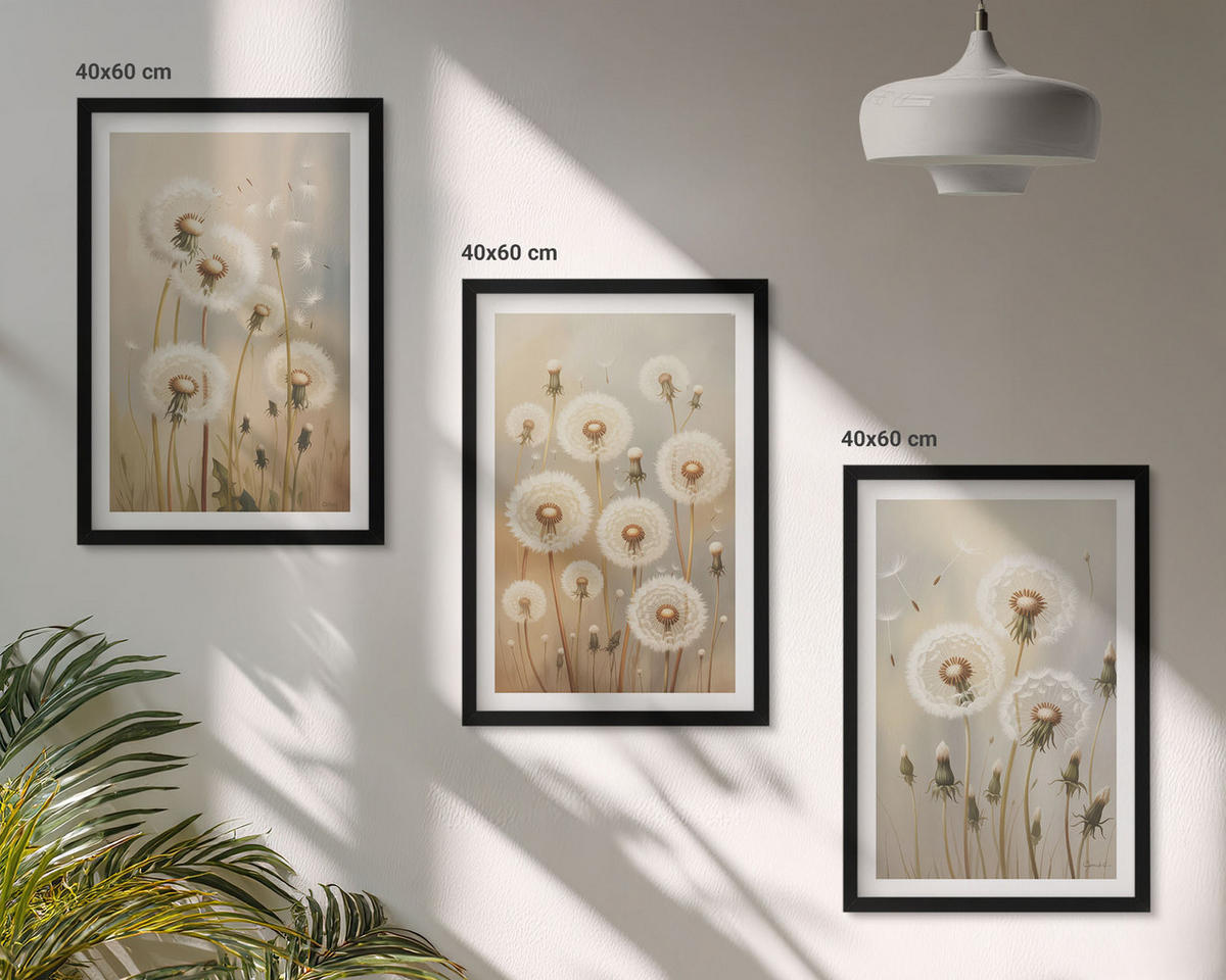 BILDER SET 3er Set - 40x60 cm Schwarzer Rahmen - Weiße Löwenzahnblüten auf hellem Hintergrund - Schwarz, Kunststoff (40/60cm) - TULUP