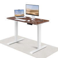 SCHREIBTISCH Elektrisch Höhenverstellbarer HomePro 120x60cm Weiß/Walnuss mit Memory-Funktion, Anti-Kollisions Technologie - Walnussfarben/Weiß, Holzwerkstoff (60/120/62cm) - Desktronic