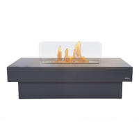 BIOETHANOL-KAMIN Schwarz Bodenmodell inklusive 3 L Brennblock - Schwarz, Metall (120/55/60cm) - Purline