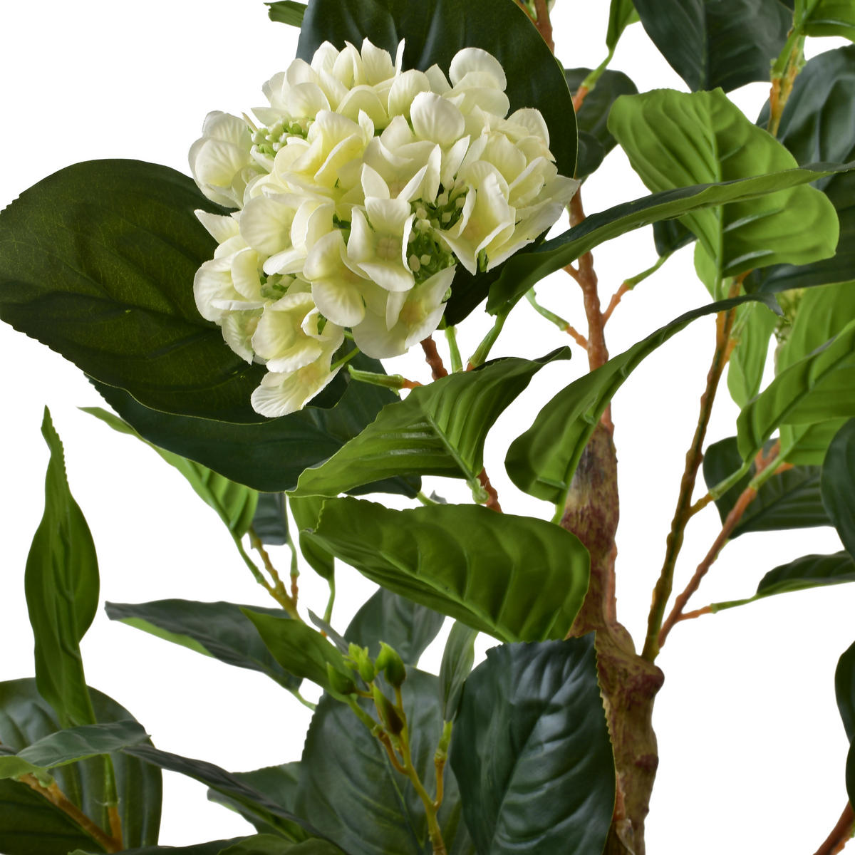 KUNSTBLUME Viridis Grün 19/19/105 cm Kunststoff - Grün, Kunststoff (105cm) - Mondex