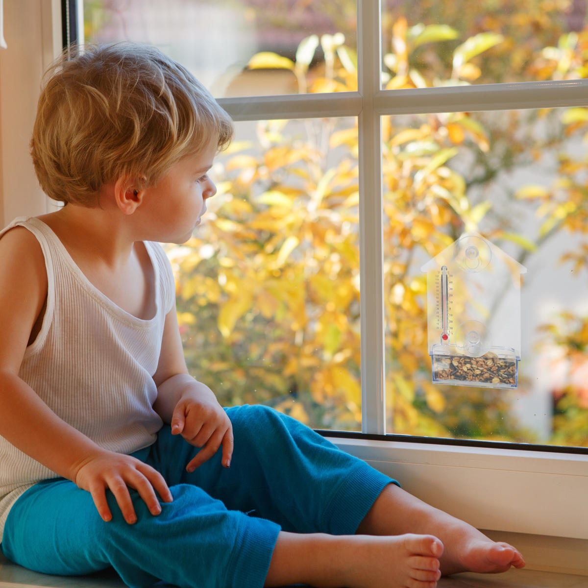 2XFENSTER-VOGELFUTTERHAUS - Transparent, Kunststoff (11.5/17/5cm) - Relaxdays