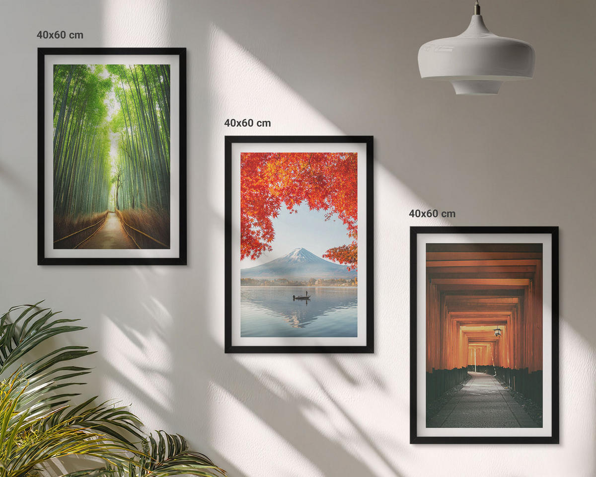 BILDER SET 3er Set - 40x60 cm Schwarzer Rahmen - Fuji-Bambuswaldlandschaft - Schwarz, Kunststoff (40/60cm) - TULUP