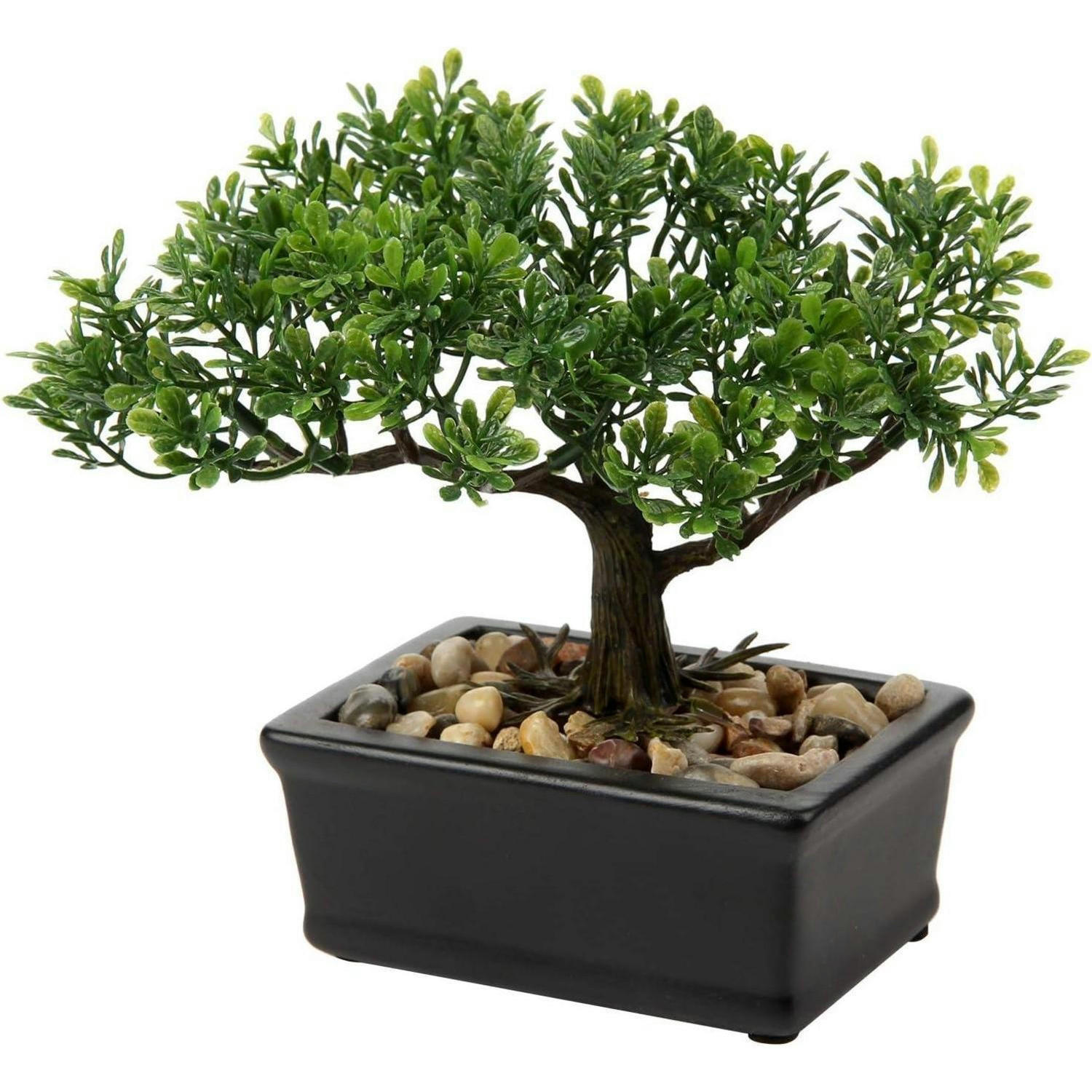 KUNSTBONSAI Podocarpus mit Keramik-Übertopf Schwarz 16.5 cm - Schwarz, Kunststoff (20cm)