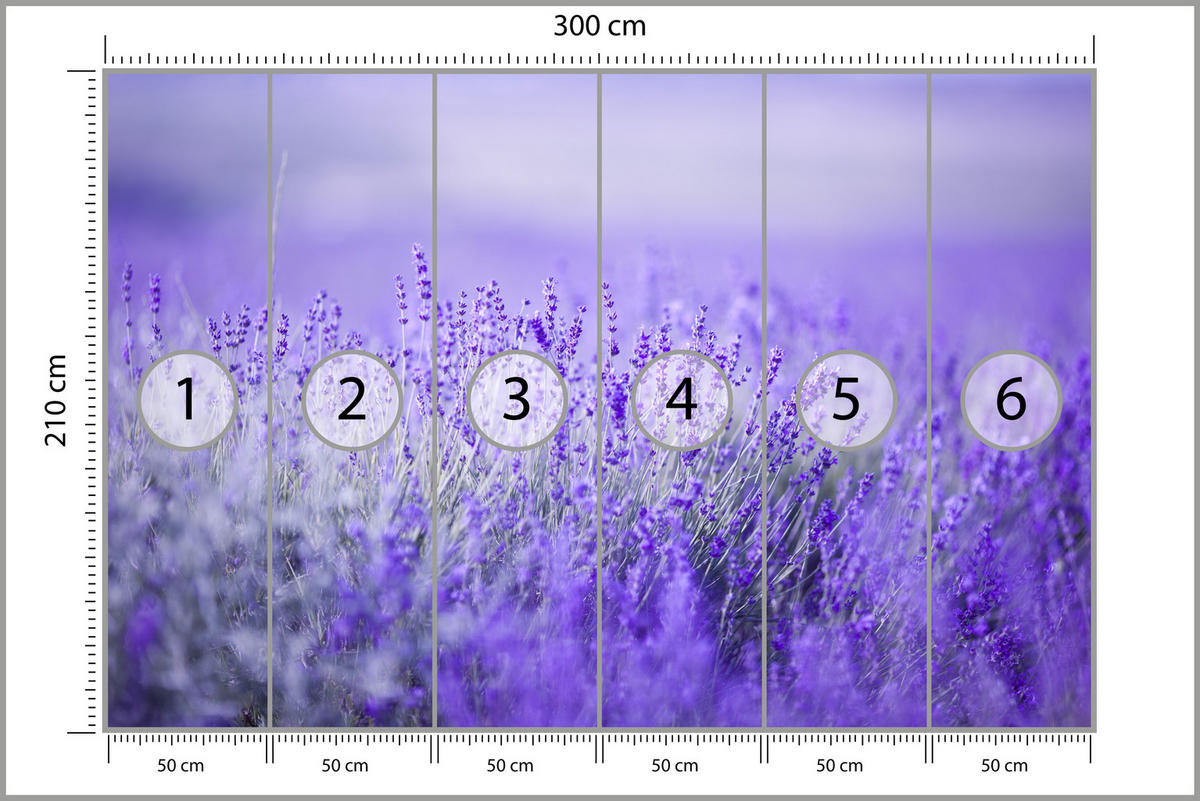 FOTOTAPETE für Küche Lavendelwiese Blüten Fliederfeld 300x210 - Violett/Lila, Papier (300/210cm) - Muralo