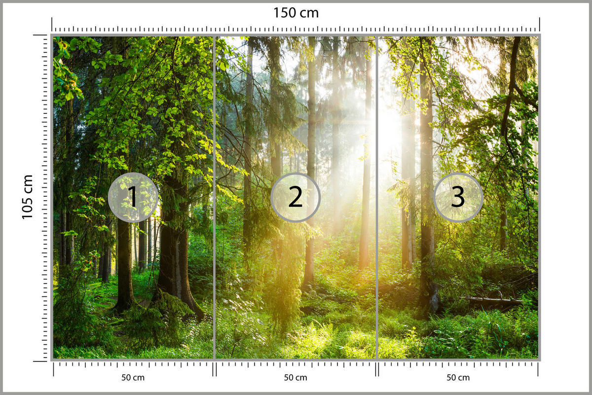 FOTOTAPETE für Wohnzimmer Sonniger Wald Bäume Pflanzen Natur Gras 150x105 - Multicolor, Papier (150/105cm) - Muralo