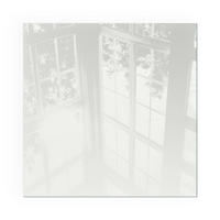 GLASPLATTE für Kamin 50x50 cm - Grau, Glas (50/50/0.4cm) - TULUP