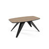 COUCHTISCH Luna Davos Eiche Trüffelbraun / Schwarz 120 / 60 / 48cm - Trüffeleichefarben/Schwarz, Holz/Holzwerkstoff (60/120/48cm) - Feldmann-Wohnen