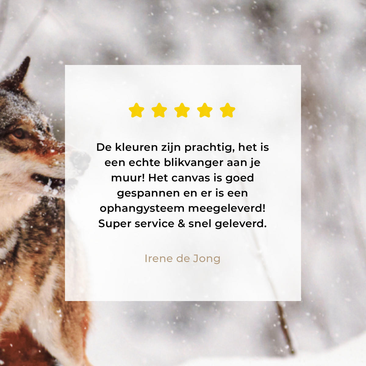 LEINWANDBILD Wolf - Winter - Schnee - Natur - Tiere Wandbild 40x30 cm - Haselnussfarben, Textil (40/30cm) - MuchoWow