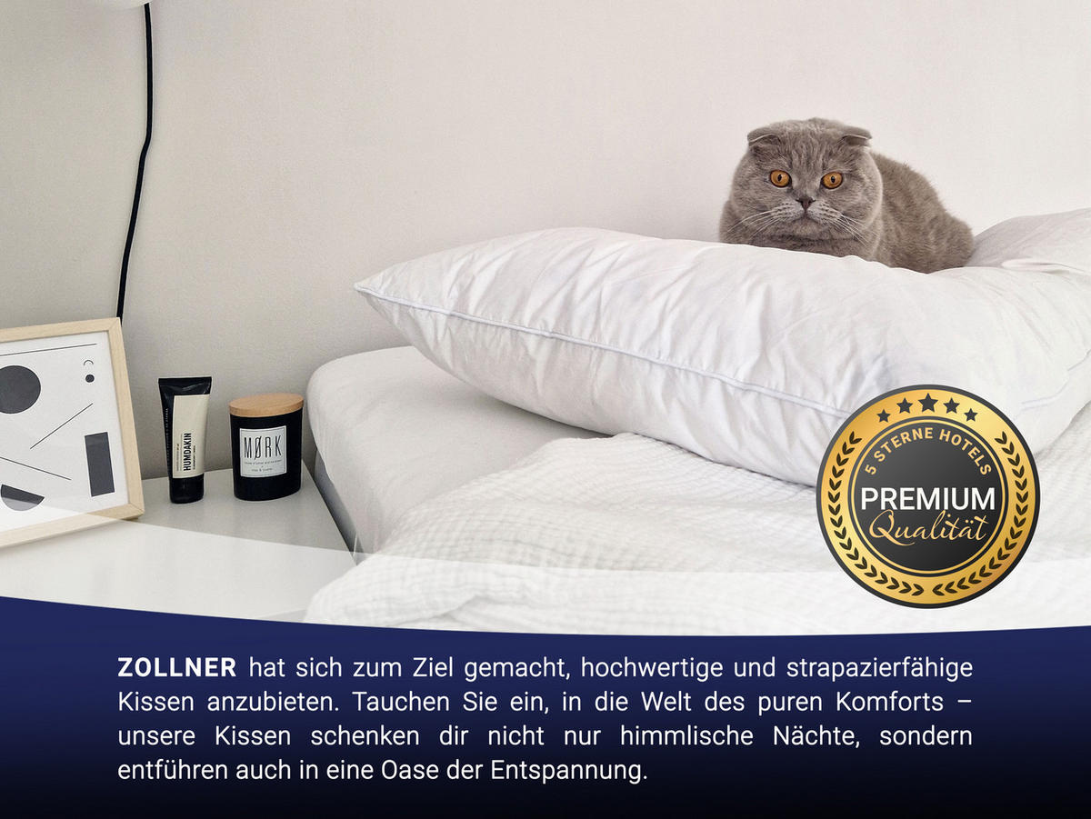 KISSEN, 80x80 cm, 100% Federn, Weiß - Weiß, Textil (80/80cm) - Zollner
