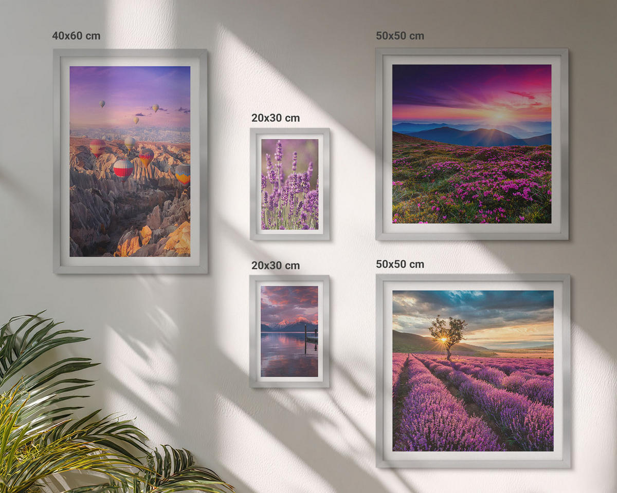 WANDBILDER 5er Set - 50x50 cm & 20x30 cm & 40x60 cm Silberner Rahmen - Sonnenuntergang auf Lavendelfeldern - Silberfarben, Kunststoff (40/60cm) - ArtPrintCave