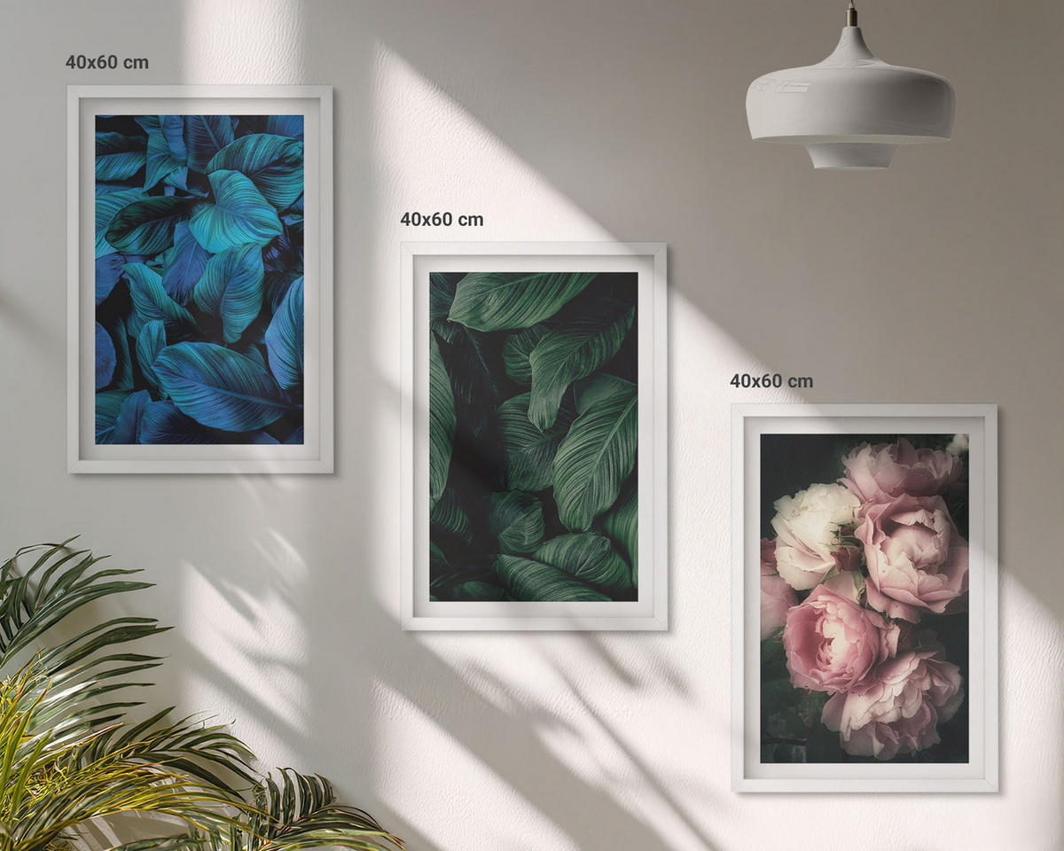 BILDER SET 3er Set - 40x60 cm Weißer Rahmen - Blätter, Blüten, verschiedene Farben - Weiß, Kunststoff (40/60cm) - TULUP