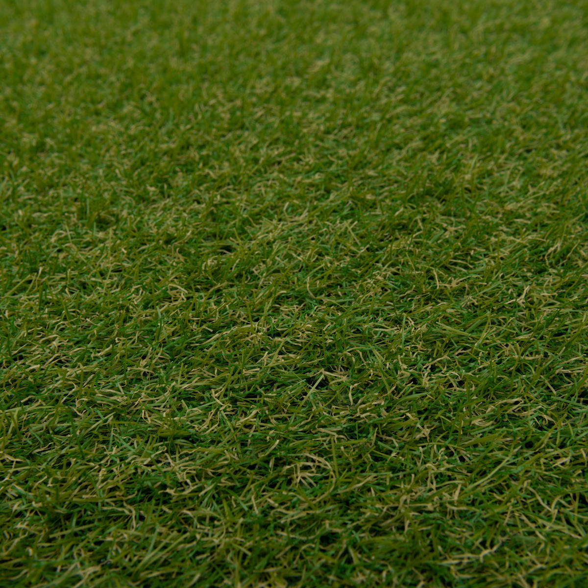 KUNSTRASEN RASENTEPPICH OUTDOOR - Grün, Textil (200/400cm) - Snapstyle