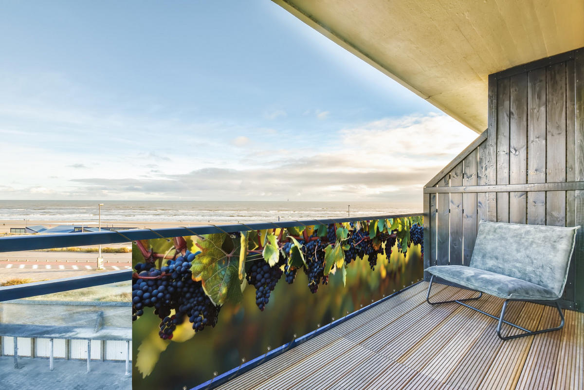 BALKON-SICHTSCHUTZ Trauben - Wein - Natur - Grün - Weinrot, Kunststoff (500/130cm) - MuchoWow