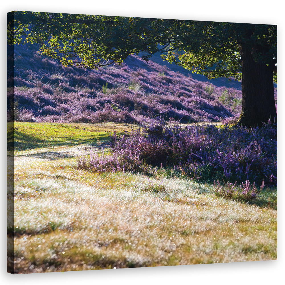 BILD auf Leinwand, Landschaften - Lila 50x50cm - Lila, Textil (50/50cm) - Feeby