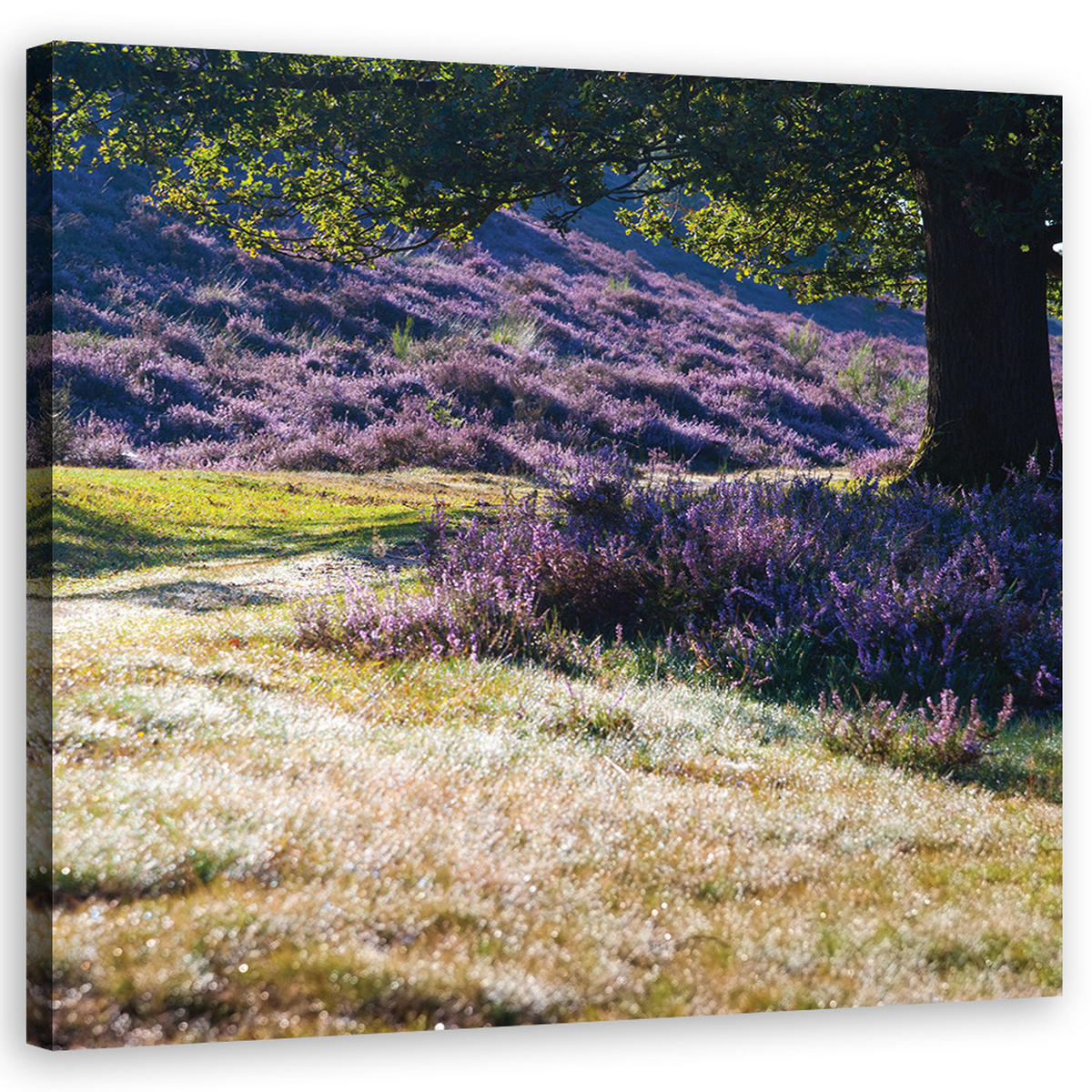 BILD auf Leinwand, Landschaften - Lila - Lila, Textil (40/40cm) - Feeby