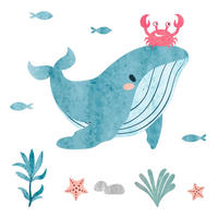 WANDAUFKLEBER 60x72cm - Unterwasserwelt - Multicolor, Kunststoff (60/72/0.1cm) - Wallfluent