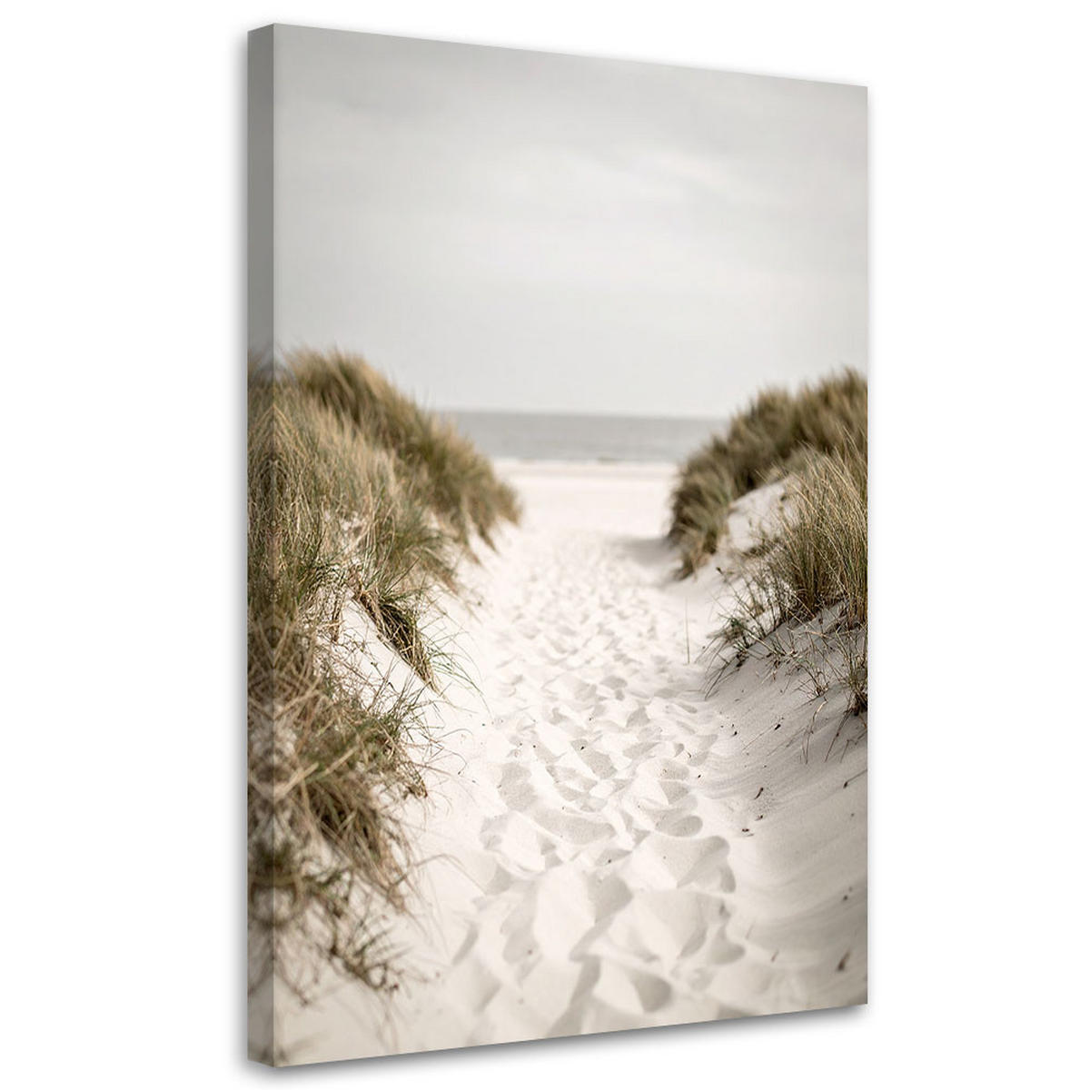 LEINWANDBILD Weg zum Strand Dünen Landschaft 80x120cm - Beige, Textil (80/120cm) - Feeby