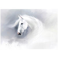 FOTOTAPETE Pferd Tiere Grau 368x254 cm - Multicolor, Textil (368/254cm) - Wallarena