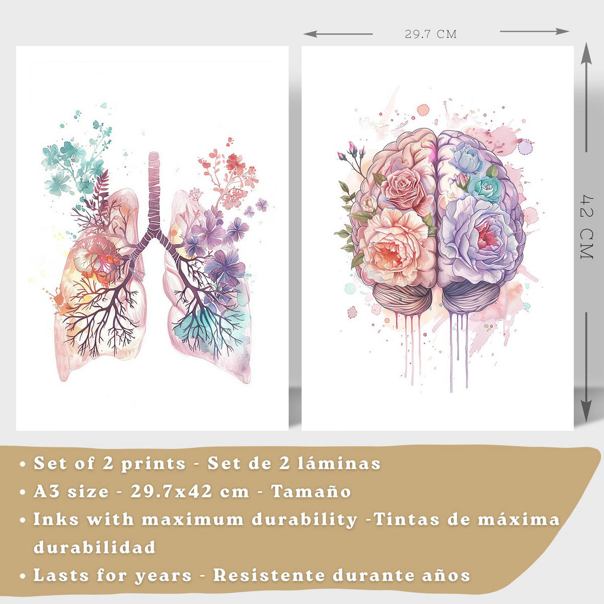 POSTER Set aus 2 Anatomie Mensch Drucke und mit Lungen Luftröhre Bronchien und Gehirn Pastellfarbenes Florales Aquarell Größe Schwarzer Rahmen A3 - Schwarz, Papier (29.7/42/3cm) - Nacnic