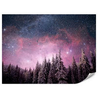 FOTOTAPETE für Schlafzimmer Verzauberter Tannenwald Winter Aurora 500x350 - Violett/Schwarz, Papier (500/350cm) - Muralo