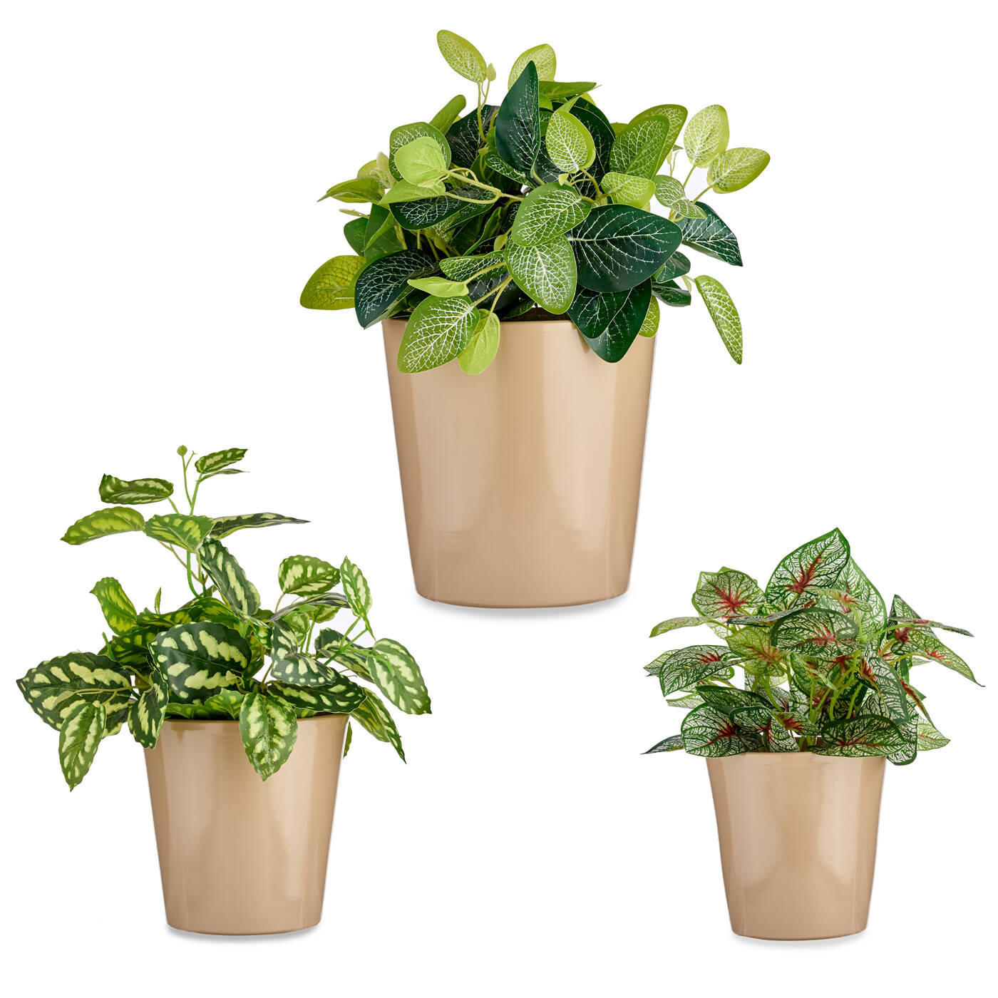 BLUMENTÖPFE Keramik Conical 3er-Set - Beige, Keramik (22.5/21cm)