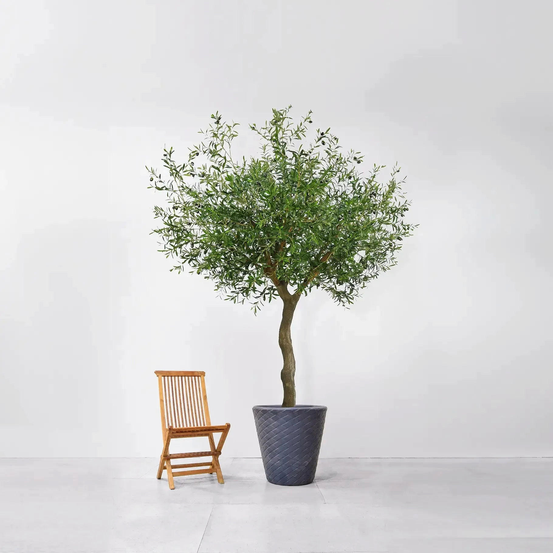 KUNSTBAUM Künstlicher Olivenbaum - Annemarie 230 cm - Grün, Kunststoff (230cm) - aplanta