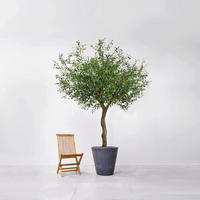 KUNSTBAUM Künstlicher Olivenbaum - Annemarie 230 cm - Grün, Kunststoff (230cm) - aplanta