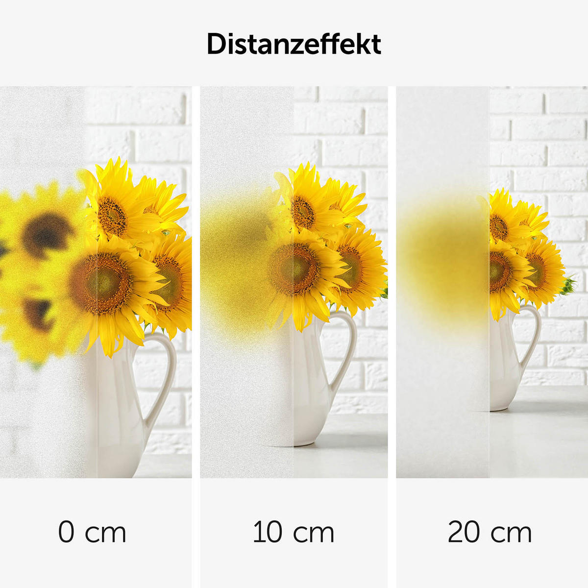 SICHTSCHUTZFOLIE 60/200 cm blickdicht & statisch haftend + UV-Schutz - Matt - selbstklebend Fenster - Transparent, Kunststoff (60/200cm) - Blumtal