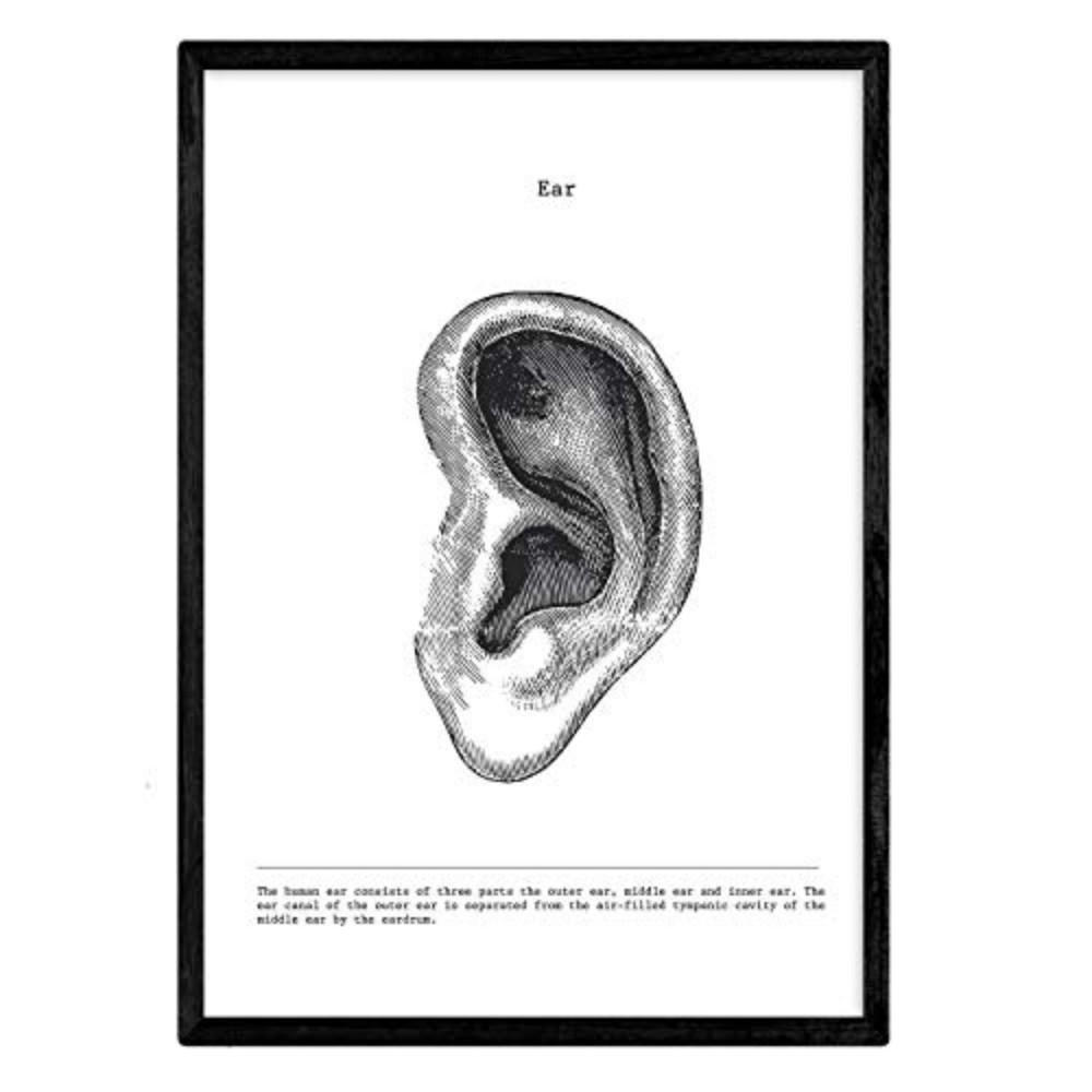 Nacnic Poster Klar 29.7x5x21 cm