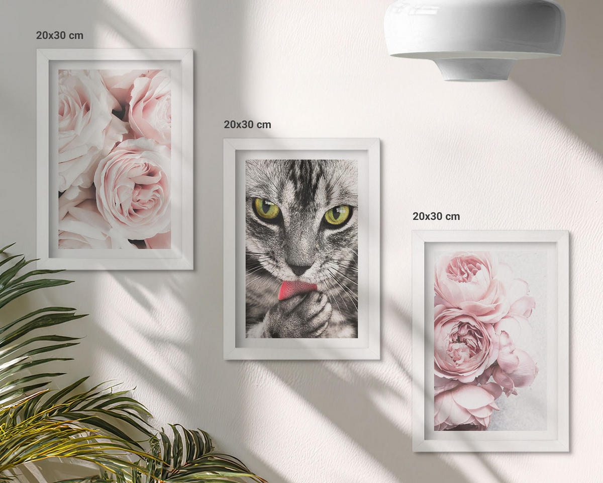BILDER SET 3er Set - 20x30 cm Weißer Rahmen - Katze in rosa Blumen - Weiß, Kunststoff (20/30cm) - TULUP
