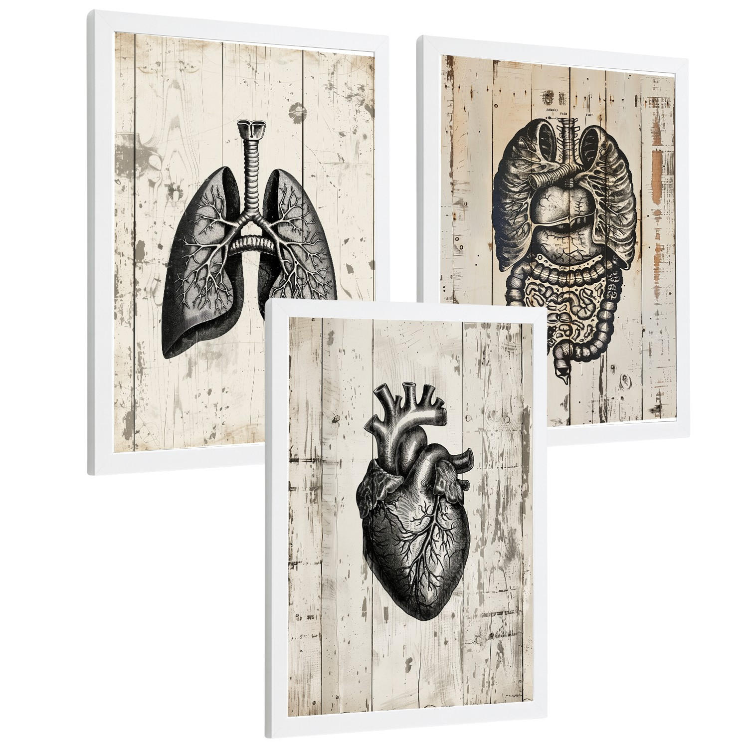 POSTER Set aus 3 Anatomie Mensch Drucke und Wandbilder mit Lungen Darm und Herz Rustikaler Stil Medizinische Wanddekoration Größe Weißer Rahmen A4 - Weiß, Papier (21/29.7/3cm) - Nacnic
