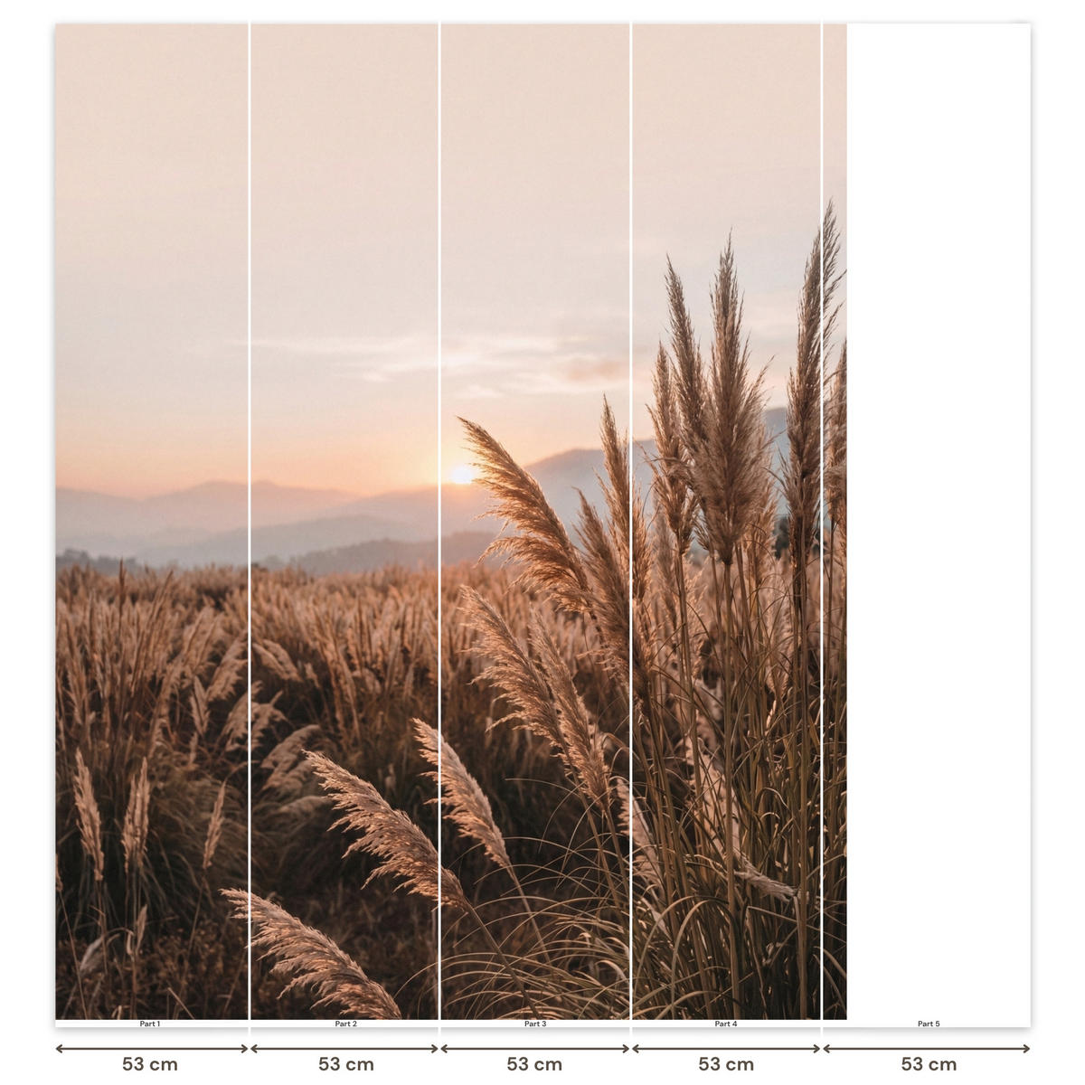 TAPETE - Gras - Feld - Sonne - Natur - 220x280 cm - Sandfarben, Papier (220/280cm) - OnlyWow