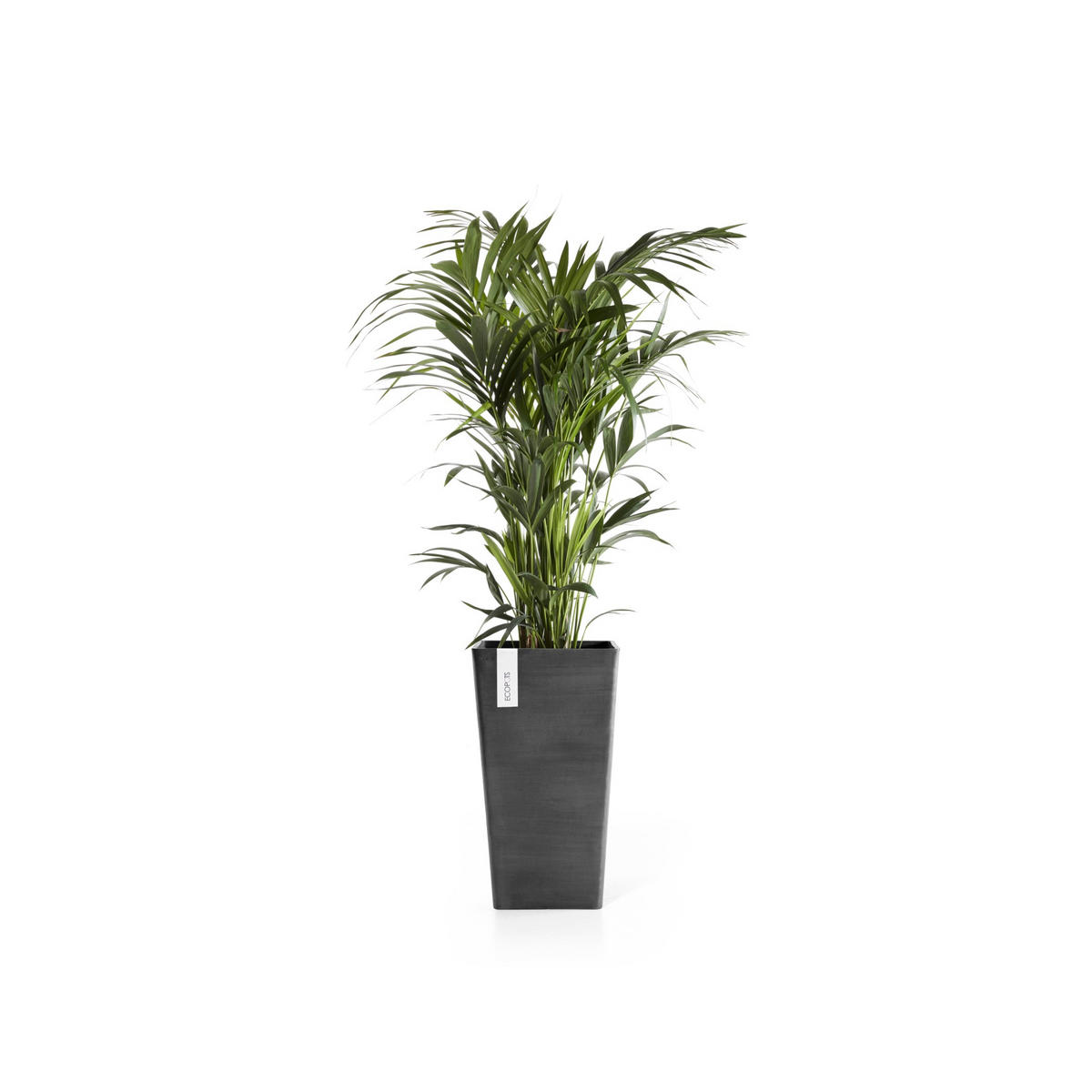 BLUMENTOPF Rotterdam Mid High 31/31/56,5 cm Dunkelgrau - Dunkelgrau, Kunststoff (31/56.5cm) - Ecopots
