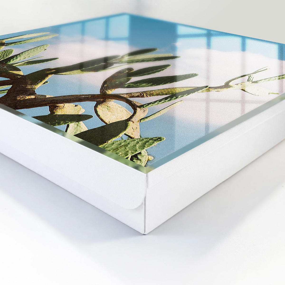 SCHLÜSSELBOX Weiß 30x30 cm – Türöffnung nach rechts - Grüner Kaktus - Grün, Metall (30/30/5cm) - TULUP