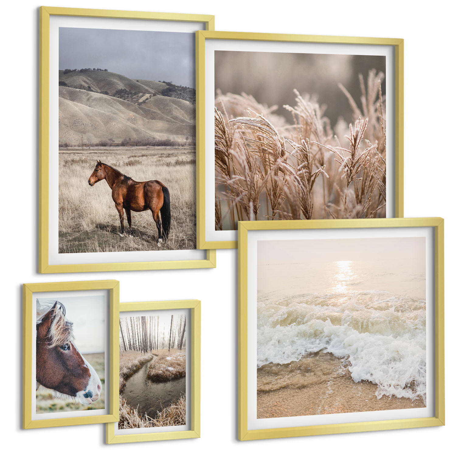 BILDER SET 5er Set - 50x50 cm & 20x30 cm & 40x60 cm Goldrahmen - Pferdelandschaft Seegraswald - Goldfarben, Kunststoff (40/60cm) - TULUP