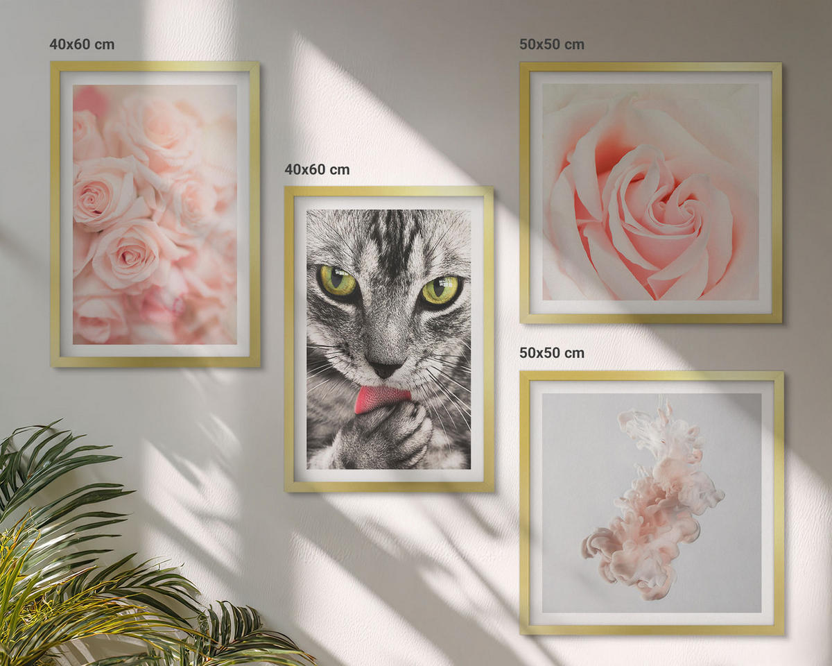 WANDBILDER 4er Set - 50x50 cm & 40x60 cm Goldrahmen - Abstrakte Darstellung von grauen Katzenrosen - Goldfarben, Kunststoff (50/50cm) - ArtPrintCave
