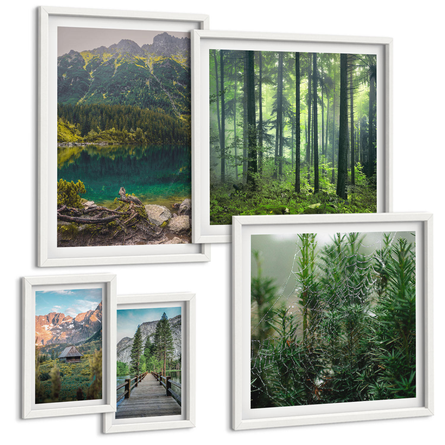 BILDER SET 5er Set - 50x50 cm & 20x30 cm & 40x60 cm Weißer Rahmen - Minimalistische Pflanzenzeichnungen - Weiß, Kunststoff (40/60cm) - TULUP