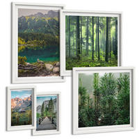 BILDER SET 5er Set - 50x50 cm & 20x30 cm & 40x60 cm Weißer Rahmen - Minimalistische Pflanzenzeichnungen - Weiß, Kunststoff (40/60cm) - TULUP