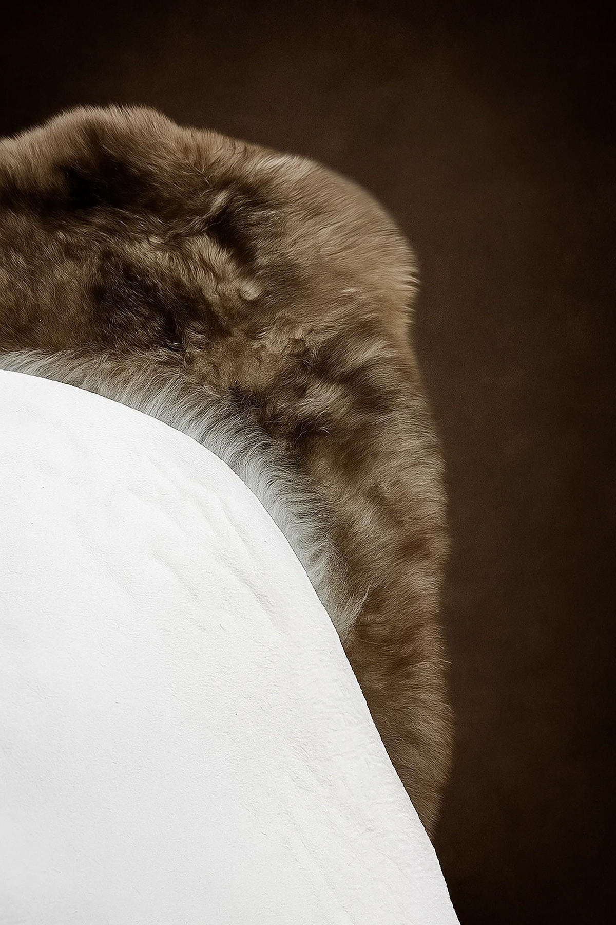 SCHAFFELL Natur Taupe ca. 110 cm - Taupe, Fell (60/110cm) - Provellus