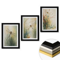 WANDBILDER 3er-Set - 20x30 cm Schwarzer Rahmen - Libellengräser über dem Wasser - Schwarz, Kunststoff (20/30cm) - ArtPrintCave