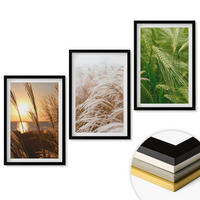 WANDBILDER 3er-Set - 40x60 cm Schwarzer Rahmen - Gräser farbenfrohe Natur - Schwarz, Kunststoff (40/60cm) - ArtPrintCave