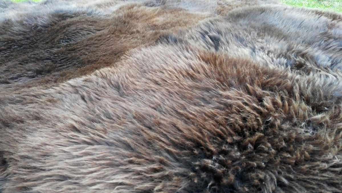 SCHAFFELL Öko Schaffell Läufer Naturbraun 180/120 cm - Braun, Fell (120/180cm) - Provellus