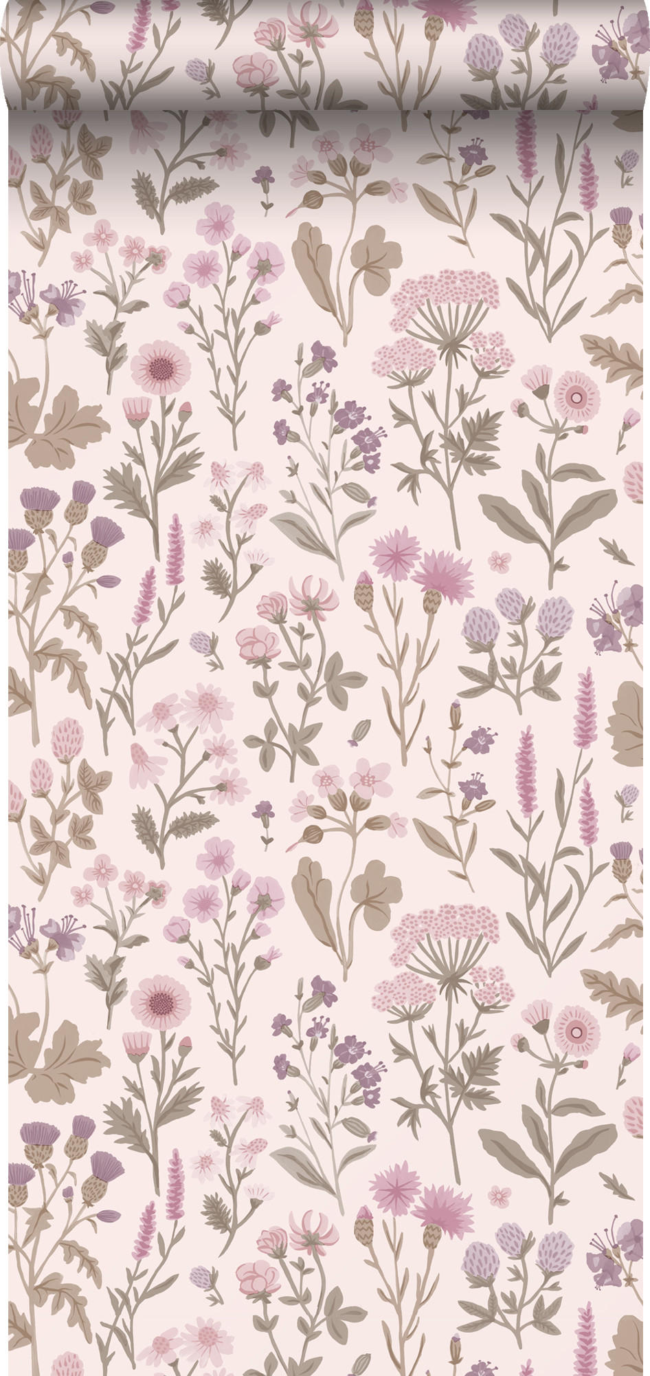 TAPETE Feldblumen 50 x 900 cm - Lila, Papier (50/900cm) - Sanders & Sanders