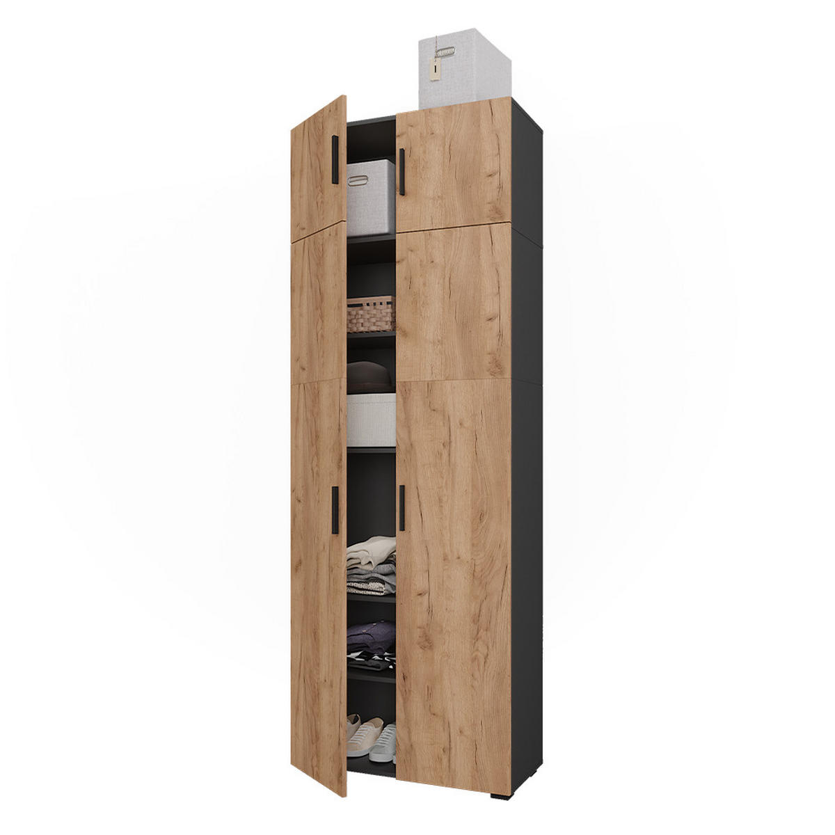 REGÁL NA DOKUMENTY Frank Antracit/zlatý dub - antracitová, kompozitní dřevo (80/223.8/37cm) - Vicco