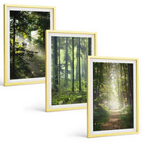 BILDER SET 3er Set - 40x60 cm Goldrahmen - Grüne Wälder mit Lichtstrahlen - Goldfarben, Kunststoff (40/60cm) - TULUP