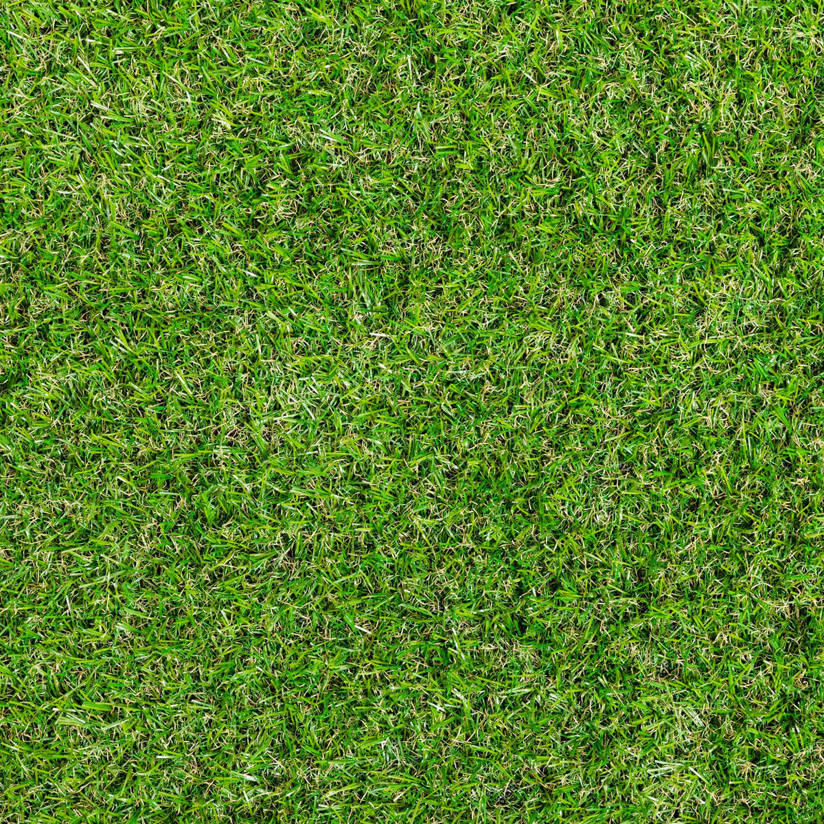 RASENTEPPICH 133/133 cm Park Grün - Grün, Kunststoff (133/150cm) - Steffensmeier