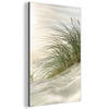 METALLBILD Dünen - Strand - Schleswig-Holstein - Wattenmeer 40x60 cm - Creme, Metall (40/60cm) - MuchoWow