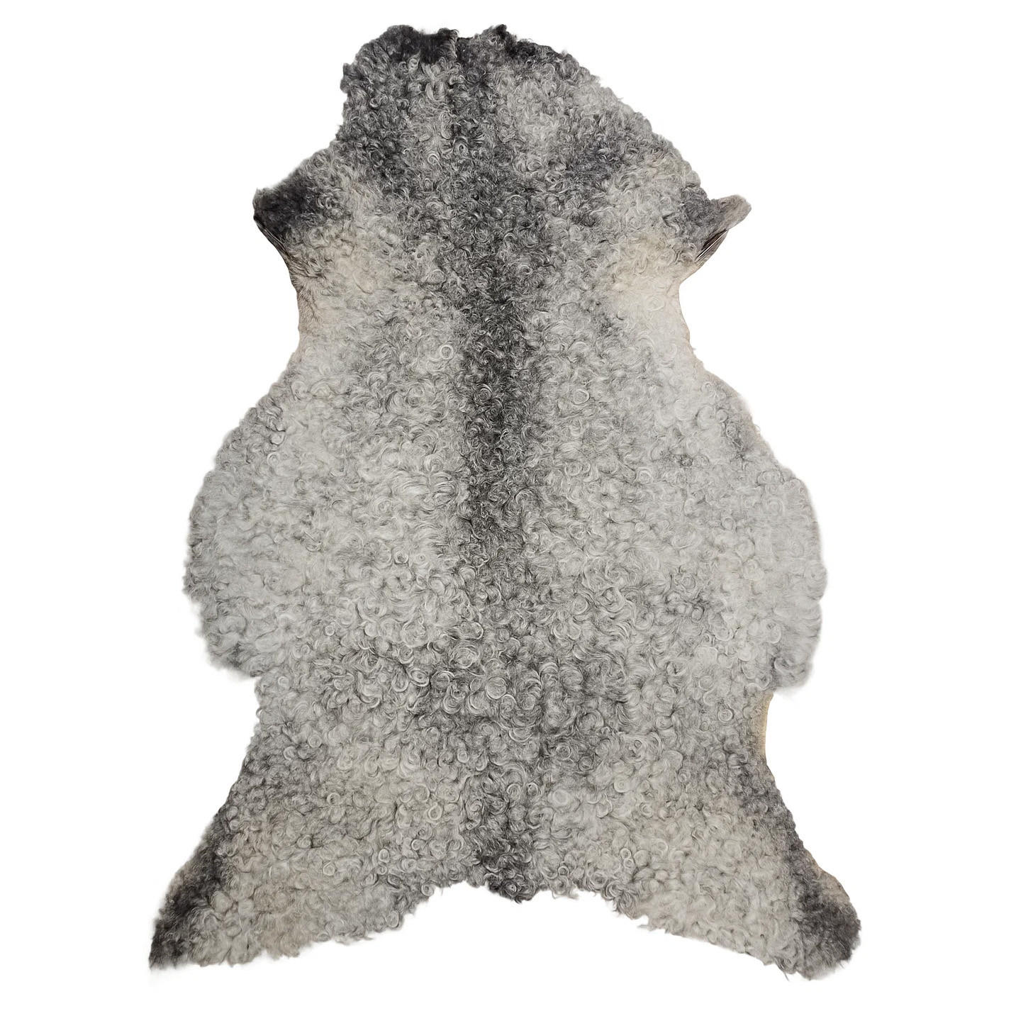 SCHAFFELL Gotland Naturgrau Lockig Unikat ca. 100 cm - Hellgrau, Fell (60/100cm) - Provellus