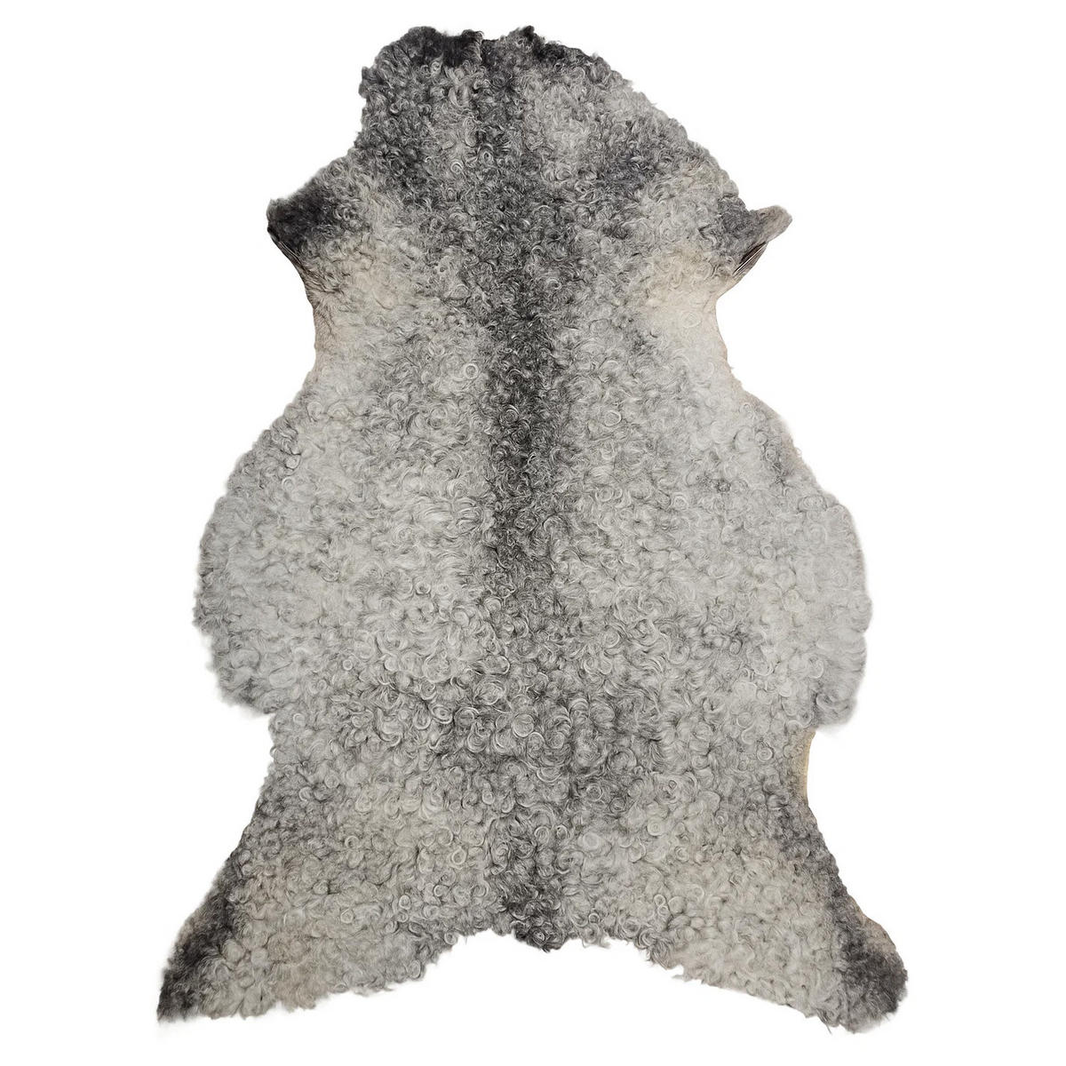 SCHAFFELL Gotland Naturgrau Lockig Unikat ca. 100 cm - Hellgrau, Fell (60/100cm) - Provellus