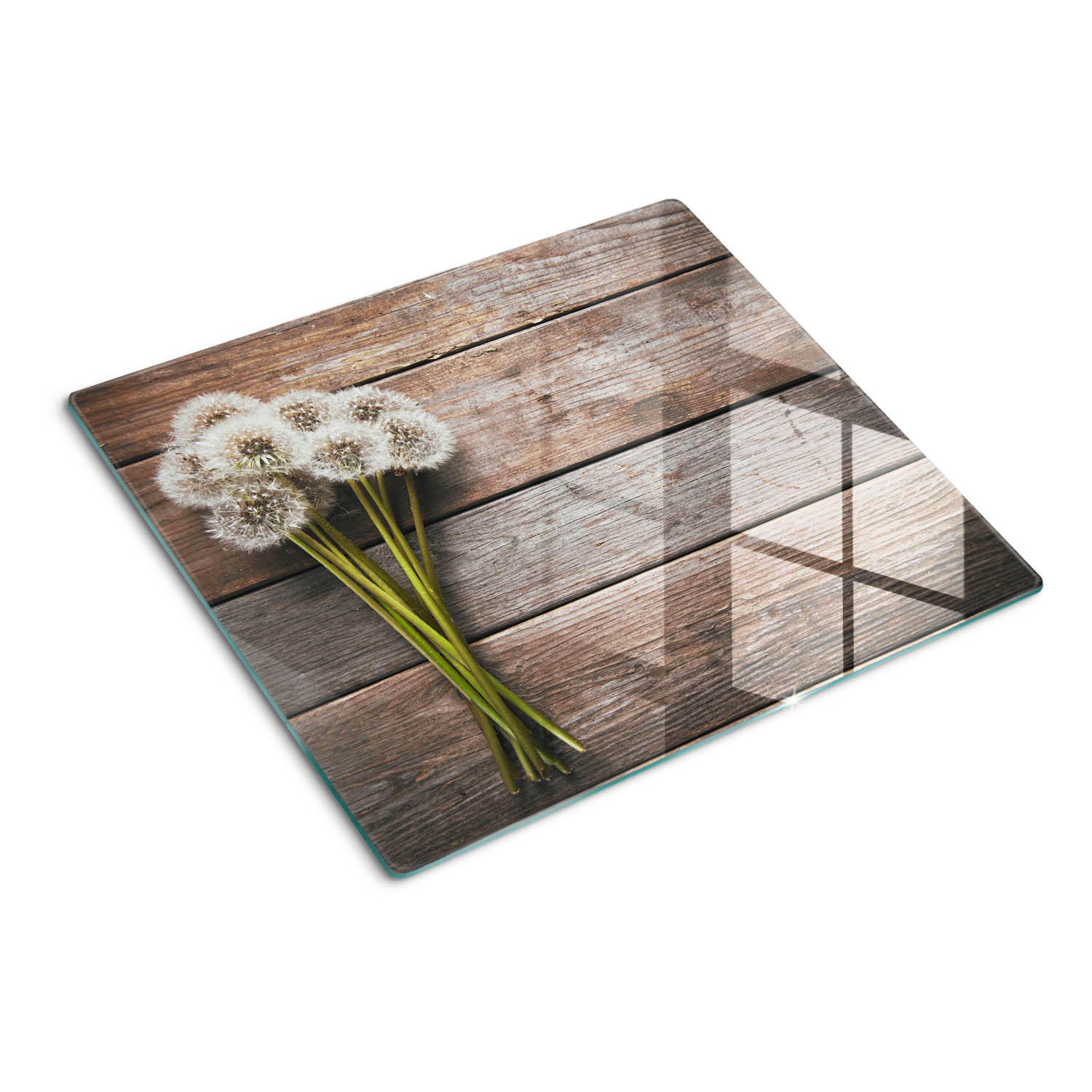 GLASPLATTE 60x52 cm Löwenzahn auf Brettern - Braun, Glas (60/0.4/52cm) - TULUP